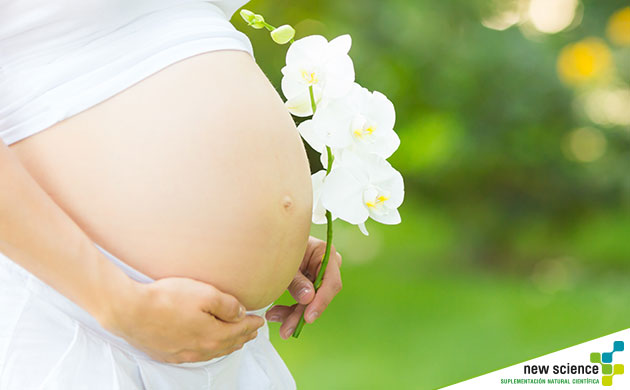 Omega 3 durante el embarazo